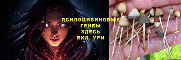 ешки Зеленокумск