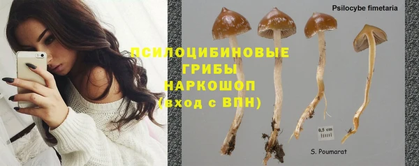 амф Зеленодольск