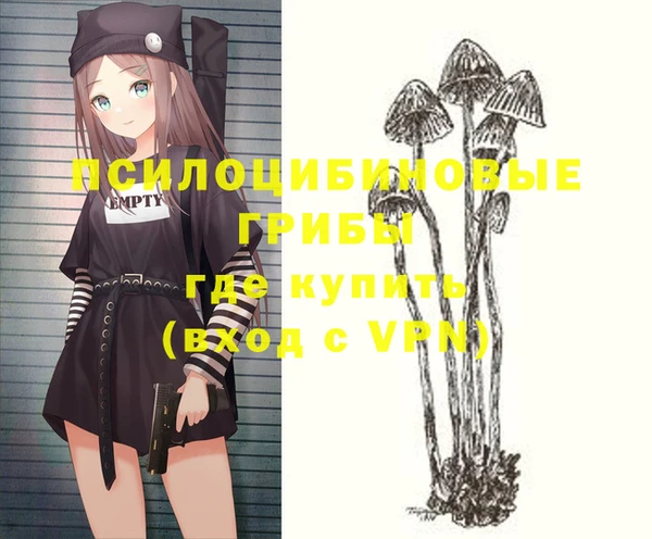 герыч Зерноград