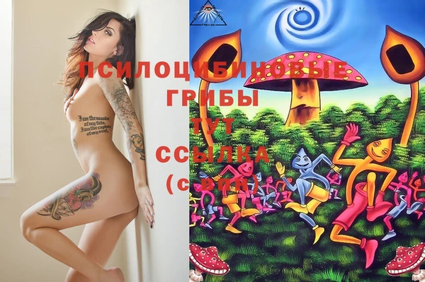 герыч Зерноград