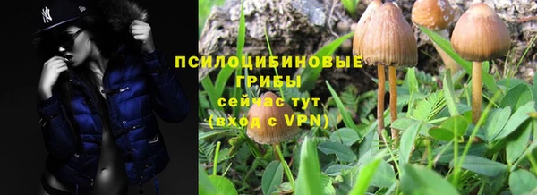 ешки Зеленокумск