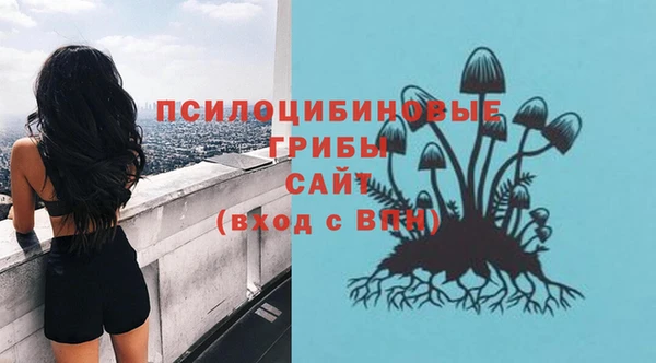 герыч Зерноград